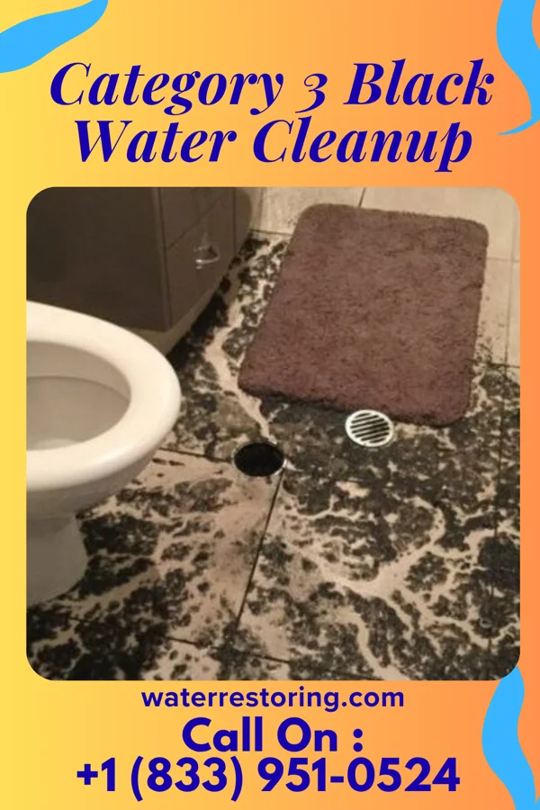 Category 3 Black Water Cleanup in Ontario, OH