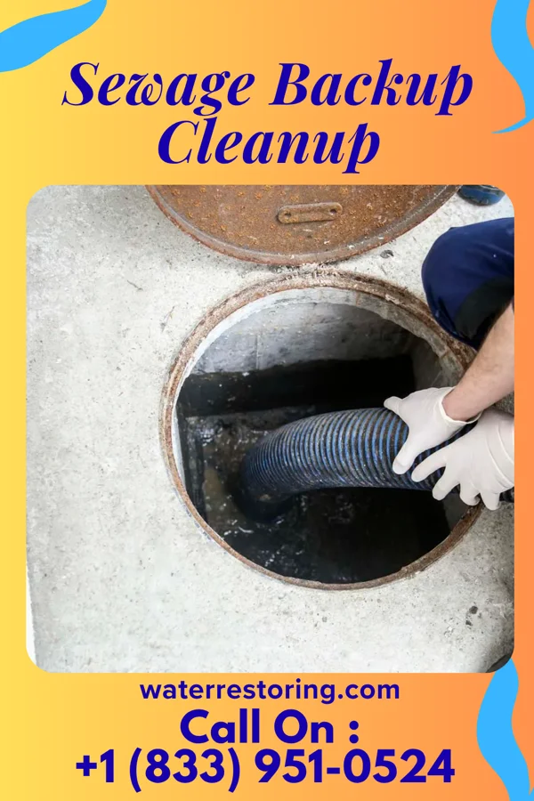 Sewage Backup Cleanup in Ontario, OH