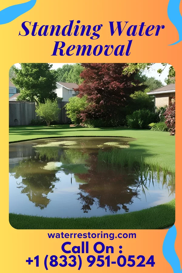 Standing Water Removal in Ontario, OH